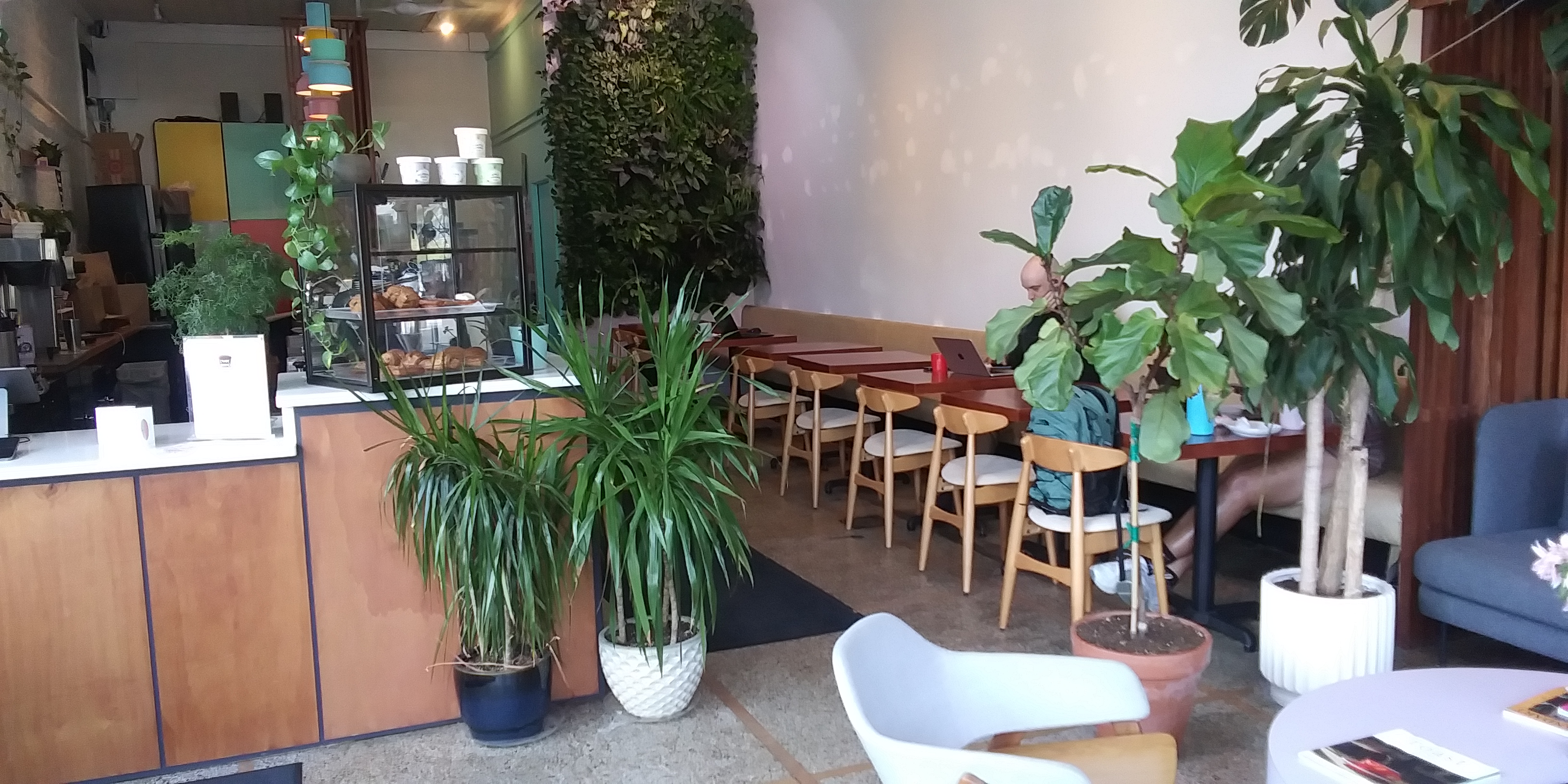 CoffeeFlower Coffee cup with foam like a flower